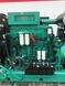 Cummins C900D5 - Генератор 900 кВА - DPX-18527 2-273 фото 10